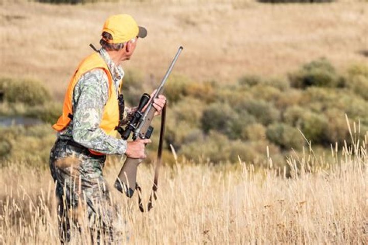 Discover Duck Dynasty Shop: Your Ultimate Source For Hunting And Lifestyle Gear