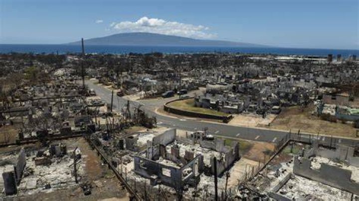The Blue Maui Conspiracy: Unraveling The Hidden Truth