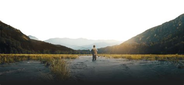 The Captivating Journey Of Tucker: A Young And Restless Spirit