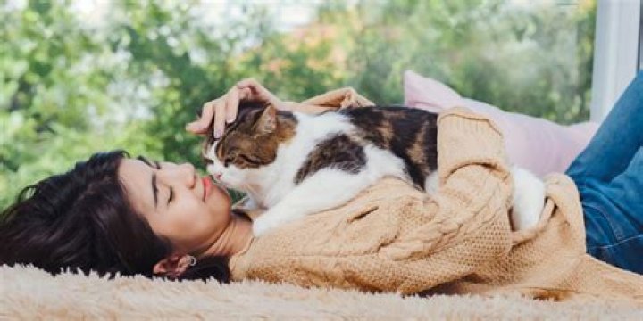 Ultimate Snuggle Meme: The Ultimate Guide To Snuggling Cuteness